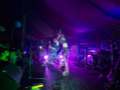 PUSSICAT_ANT_THE_DIRTY_JOHNSOMS_02_OscarLTejeda