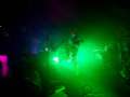 PUSSICAT_ANT_THE_DIRTY_JOHNSOMS_03_OscarLTejeda