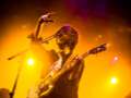 0931_RufusTFirefly