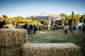 02_Ambiente_0331