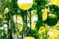 44_InstArt_0295