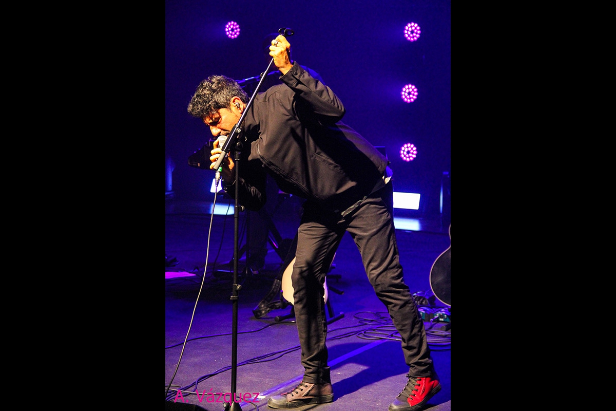 subtonica_2026_02