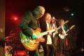 THE PRETTY THINGS * SALA PLANTA BAJA * GRANADA * 21-11-2017 # FOTOS: FRAN KARMONA