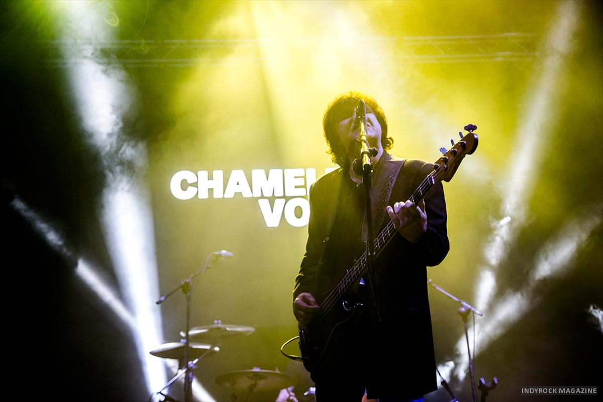 0019_ChameleonsVox