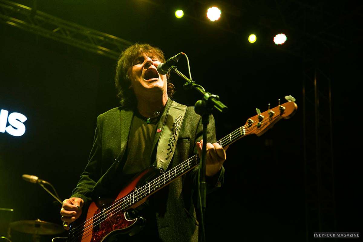 0039_ChameleonsVox