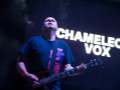 0007_ChameleonsVox