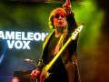 0070_ChameleonsVox