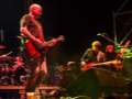 0087_ChameleonsVox
